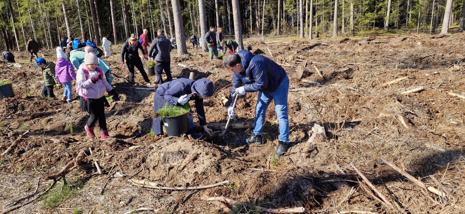 WhatsApp Image 2025-10-31 at 17.40.42