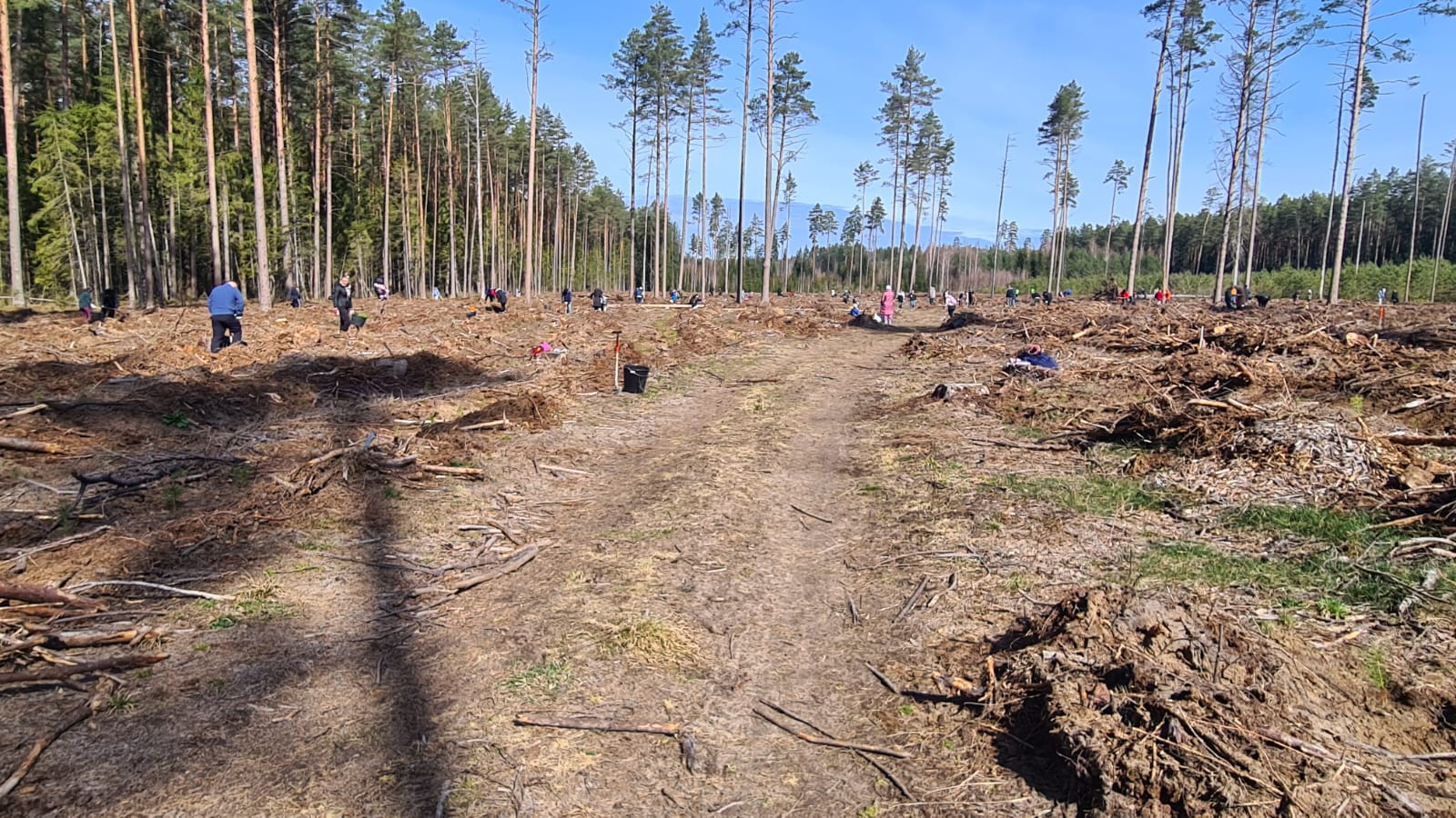 WhatsApp Image 2025-10-31 at 17.46.06