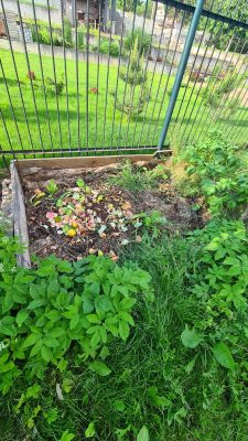 WhatsApp Image 2025-11-17 at 12.09.49