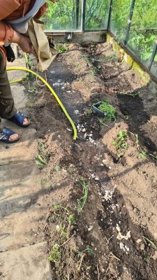 WhatsApp Image 2025-11-17 at 12.09.50 (3)