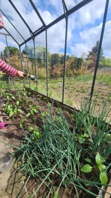 WhatsApp Image 2025-11-17 at 12.09.51