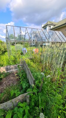 WhatsApp Image 2025-11-17 at 12.09.52