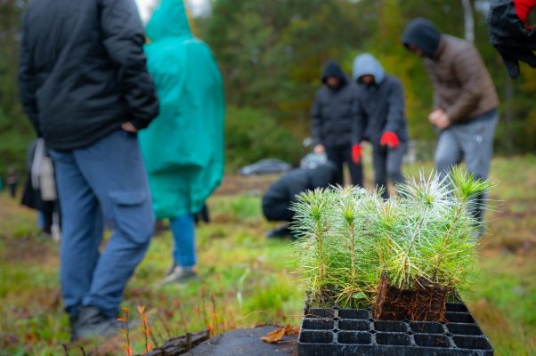 WhatsApp Image 2025-11-17 at 12.55.58 (1)