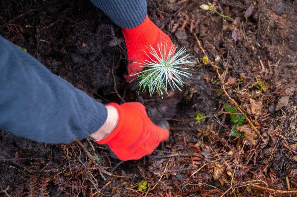 WhatsApp Image 2025-11-17 at 12.55.58 (2)